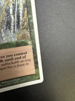 MTG Nature's Cloak [English, Starter 1999, LP] - Image 5