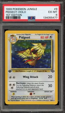 Pokemon Pidgeot Jungle 1st Edition Holo Rare #8 PSA 6 - Image 1