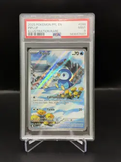 2025 Pokemon PFL EN PIPLUP Illustration Rare PSA 9 MINT Fantasmal Flames #098 - Image 2
