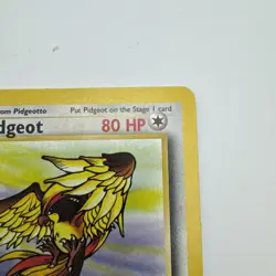 Pidgeot 24/64 - Jungle Set - Non Holo Rare - WoTC Pokemon TCG 1999 - Image 5