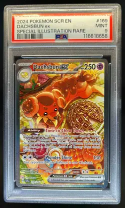 2024 Pokemon Stellar Crown Dachsbun ex #169/142 PSA 9 - Image 1