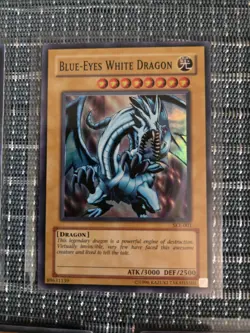 Vintage Yugioh Holo & Rare Dragon Lot Armed LV7 Blue Eyes White Dragon SKE SOD + - Image 3