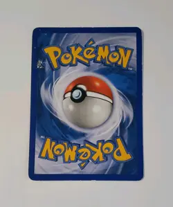 Raikou Secret Wonders Holo-Cracked Ice Card 16/132 - Image 2