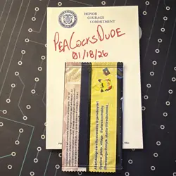 Pluto Coco Pokemon non-TCG UNOPENED SEALED PACK! 1st Edition - Image 2
