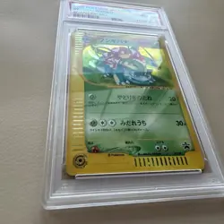 Venusaur - 012/P 012P P Promotional Cards Holo (Japanese) NEAR MINT / MINT PSA 8 - Image 3