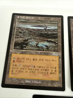 Magic The Gathering MTG Lands KOREAN Urza's Saga LP Card Lot - Image 2