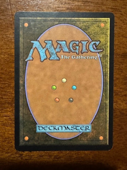 Panoptic Mirror "Darksteel" Regular (LP+) - Image 2