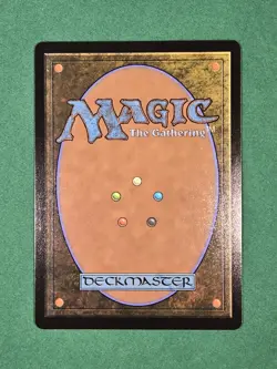 MTG Forest (0291) Non-Foil Tarkir: Dragonstorm Magic The Gathering - Image 3