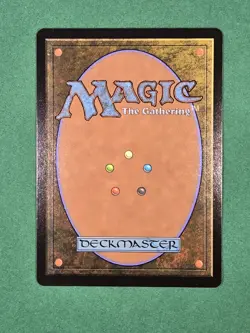 MTG Forest (0291) Non-Foil Tarkir: Dragonstorm Magic The Gathering - Image 5