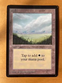 25 basic lands - Magic the Gathering Beta Edition Regular 25 basic lands - Image 3