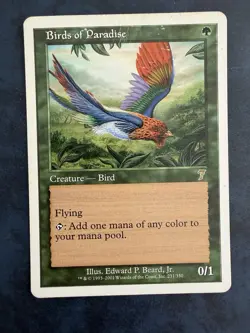 Birds of Paradise 7th Edition Regular - Image 1