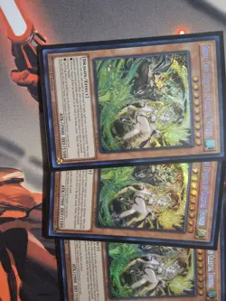 Yu-Gi-Oh! TCG Radiant Typhoon Deck Core Play Set Of Everthing 1 Trap ED Cards + - Image 2