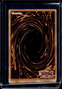 2005 Yu-Gi-Oh! Dark Beginning 2 Book of Life #DB2-EN230 - Image 2