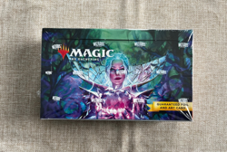 Magic The Gathering MTG Wilds of Eldraine Set Booster Box 195166231808 - Image 1