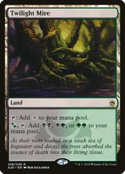 Twilight Mire A25 LP MTG - Image 1