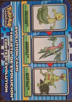 TREECKO - GROVYLE - SEPTILE - EVOLUTION CARD - Pokemon Advanced 2003 - NM/LP - Image 3