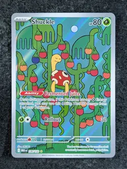 2025 Pokemon SHUCKLE 136/132 Mega Evolution Illustration Rare Holo English (B) - Image 1