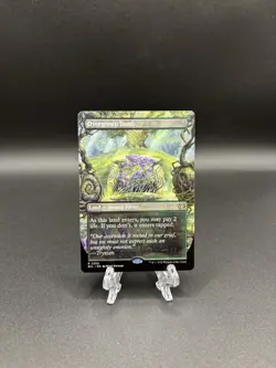 MTG Overgrown Tomb (Borderless) Lorwyn Eclipsed Regular - Image 1