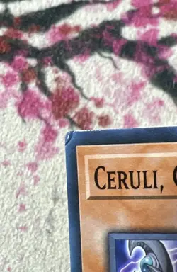 3x (VLP) - Ceruli, Guru of Dark World - SR13-EN015 - Common - 1st Edition YuGiOh - Image 2