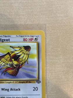 Pokemon TCG Pidgeot Jungle Card 24/64 Unlimited Non-Holo Rare LP - Image 3
