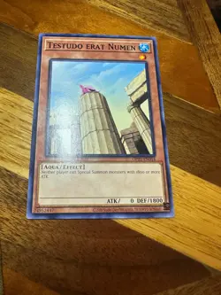 Testudo erat Numen OP21-EN014 Unlimited Edition Common VLP + BONUS - Image 1