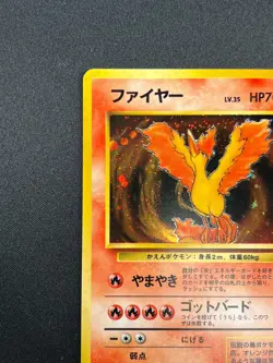 [NM] Moltres Pokemon Card Japanese No.146 Holo Fossil Set 1996 Vintage 1J13 - Image 4