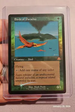 🔥 MTG - Birds of Paradise - Retro Frame FOIL, Dominaria Remastered #336 NM 🔥 - Image 1