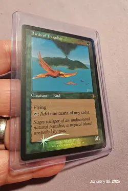 🔥 MTG - Birds of Paradise - Retro Frame FOIL, Dominaria Remastered #336 NM 🔥 - Image 2