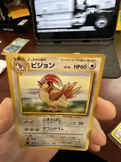 Pidgeotto 017 Japanese Base Set Non Holo Rare Pokemon - Image 4