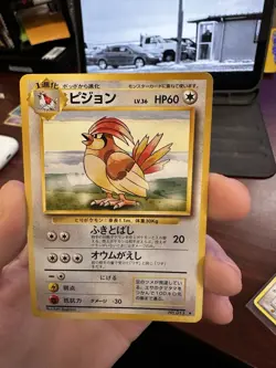 Pidgeotto 017 Japanese Base Set Non Holo Rare Pokemon - Image 5