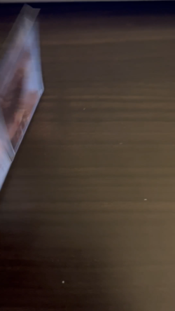 Magic: The Gathering (MTG) - FOIL Thousand-Year Elixir - Lorwyn (LRW) - Image 2