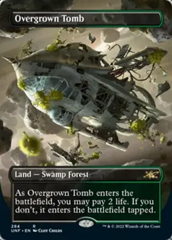 [1x] Overgrown Tomb - Foil - Borderless Near Mint, English Unfinity Singles Extr - Image 1