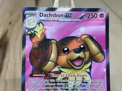 Dachsbun EX 160/142 Holo Ultra Rare S&V Stellar Crown Pokemon TCG Card NM - Image 2