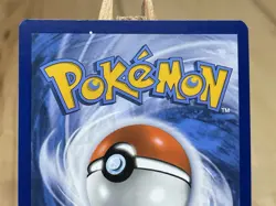 Dachsbun EX 160/142 Holo Ultra Rare S&V Stellar Crown Pokemon TCG Card NM - Image 5