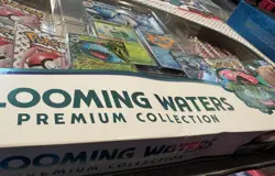 POKEMON TCG: Scarlet & Violet 151 -Blooming Waters Premium Collection - 2 Boxes - Image 4