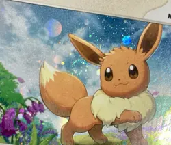 Eevee SVP 043 *SWIRL* Obsidian Flames Black Star Promo Cosmos Holo Pokemon NM/M - Image 5