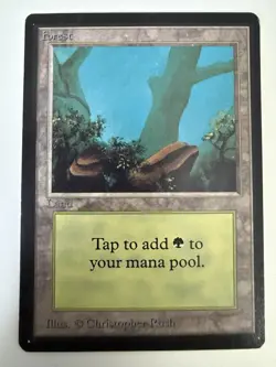 Magic the Gathering Forest (A) Limited Edition - Beta Edition Regular - Image 1