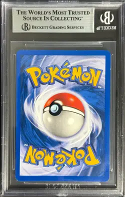 Pokemon 2000 Meganium Neo Genesis 1st Edition #10 Holo R BGS 5.5 - Image 2
