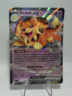 Dachsbun ex 067/142 Stellar Crown Double Rare Pokemon TCG - Image 1