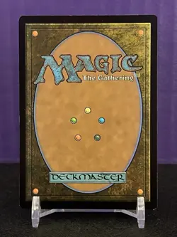 MTG Nature's Rhythm Tarkir: Dragonstorm Regular NM/M - Image 2