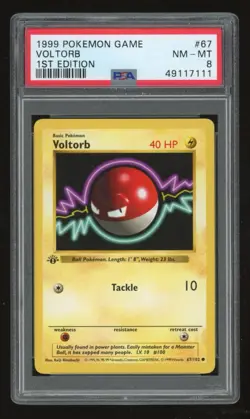 1999 Pokemon 1st Edition Shadowless Voltorb #67 PSA 8 - Image 1