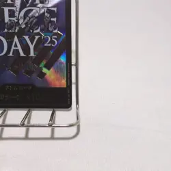 ONE PIECE DAY '25 Don!! Card One Piece Card Promo Japanese - Image 5