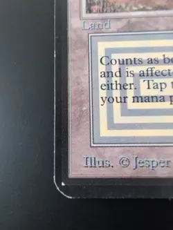 Scrubland Alpha Edition Regular - Image 2