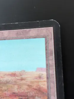 Scrubland Alpha Edition Regular - Image 5