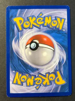 Mudkip XY38 Holo Black Star Promo Set - Pokemon Card - Image 2