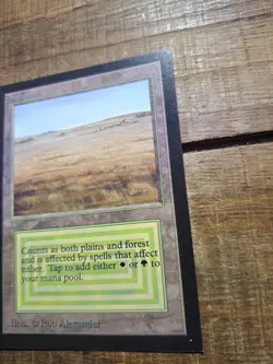 1993 SAVANNAH Magic the Gathering Collector's Edition CE MTG Sharp Corners NM - Image 3