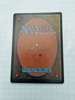 MTG Samite Healer (Feldscher) FBB German Regular - Corner Wear on 1 corner -Pics - Image 3