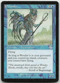 Wonder 2002 Raphael Levy (JUD) World Championship Decks LP MTG - Image 1