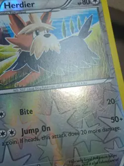 HP Herdier Reverse Holo - Pokemon - 109/146 XY Base Set - Image 5