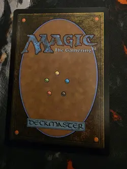 Snow-Covered Forest (White Border) MB2 Regular Common #120 NM MTG - Image 2